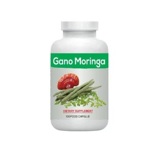 Gano moringa