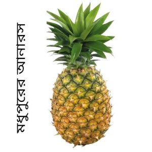 মধুপুরের আনারস পিস