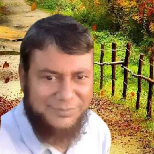 Pahari Phool solar city